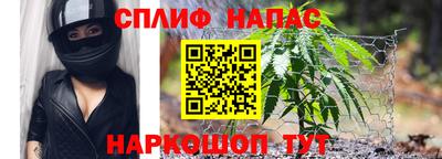 mdpv Заводоуковск
