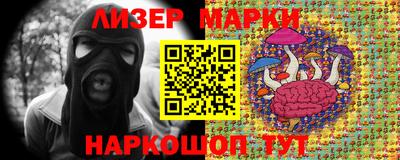 mdpv Заводоуковск
