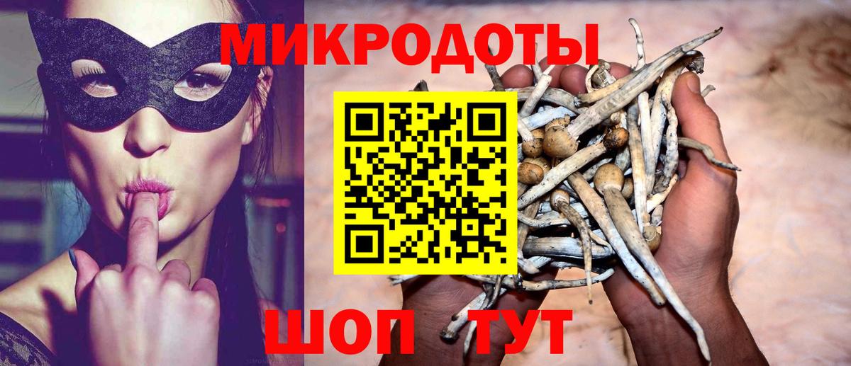 Псилоцибиновые грибы Psilocybine cubensis Москва