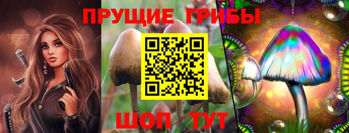 цены наркотик  Псилоцибиновые грибы MAGIC MUSHROOMS  Вход с VPN  Москва 